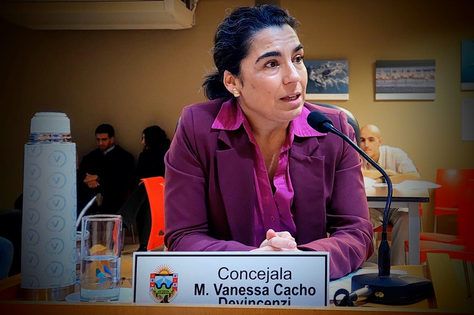 Cacho rechaza el proyecto municipal para extender el mandato del actual Defensor del Pueblo de Viedma