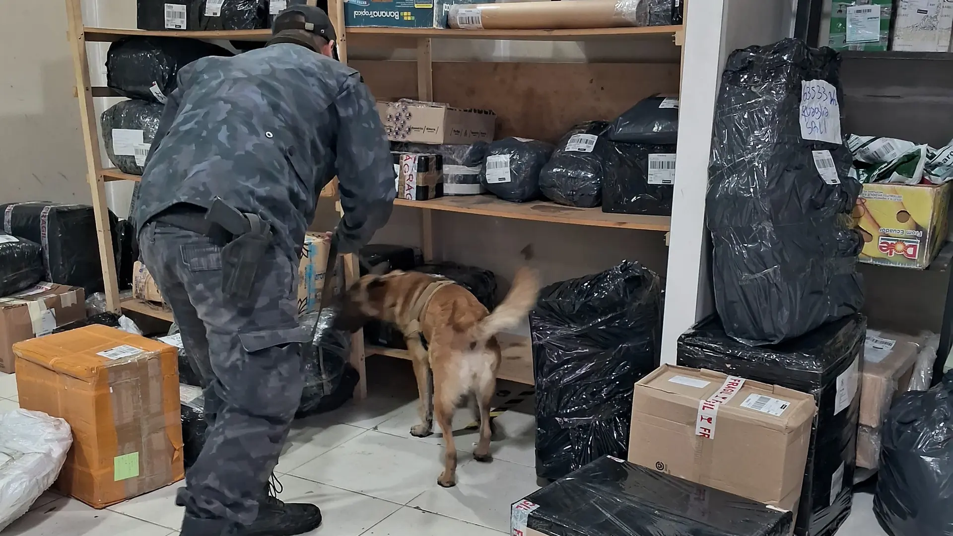 La Policía de Toxicomanía desplegó un fuerte operativo en la terminal de Viedma buscando drogas