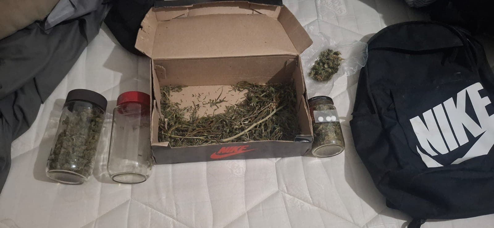 En Viedma secuestraron marihuana en distintos allanamientos realizados el sábado