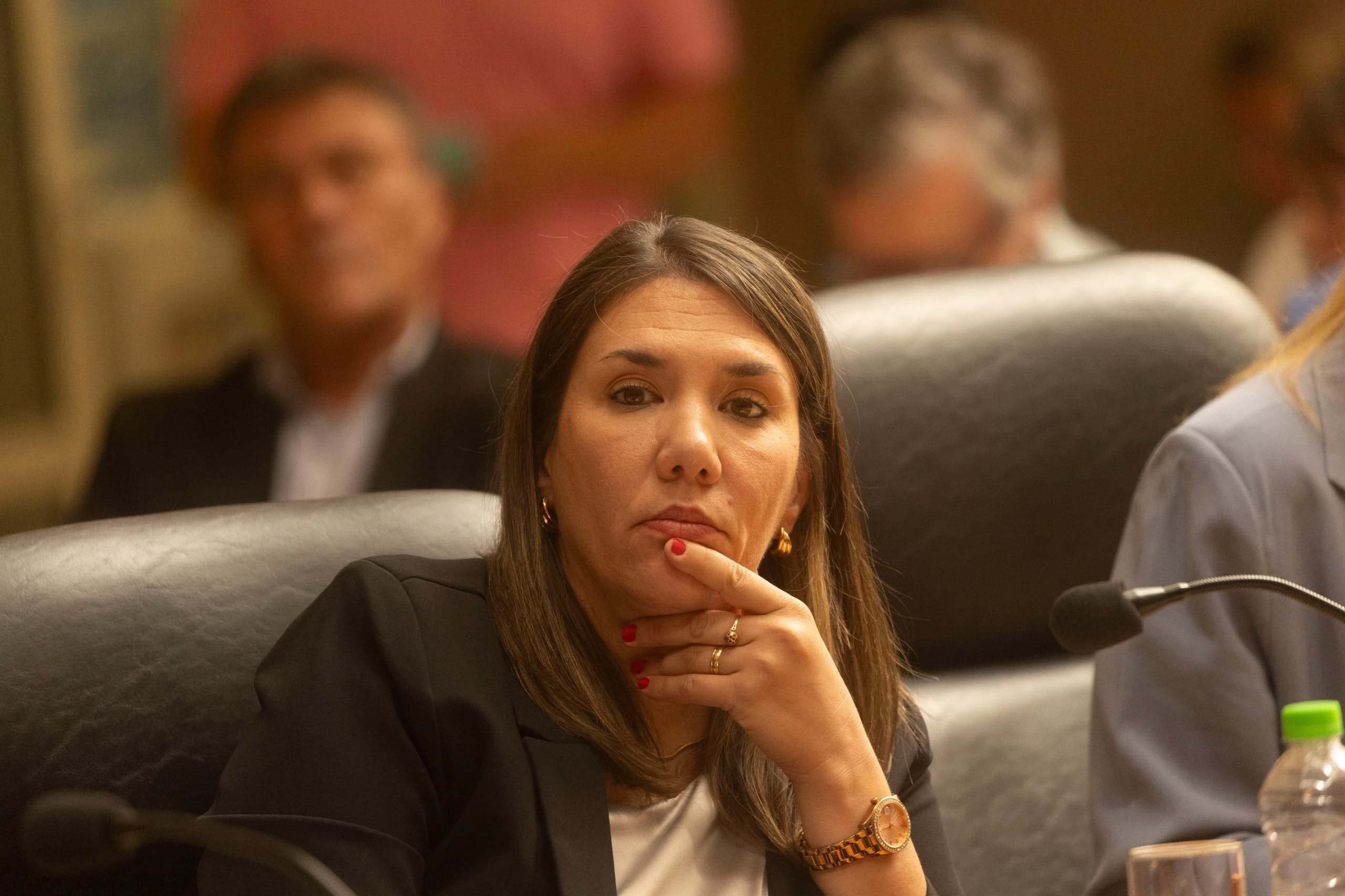 La concejal Andria presentó un proyecto para agilizar las habilitaciones comerciales en Viedma