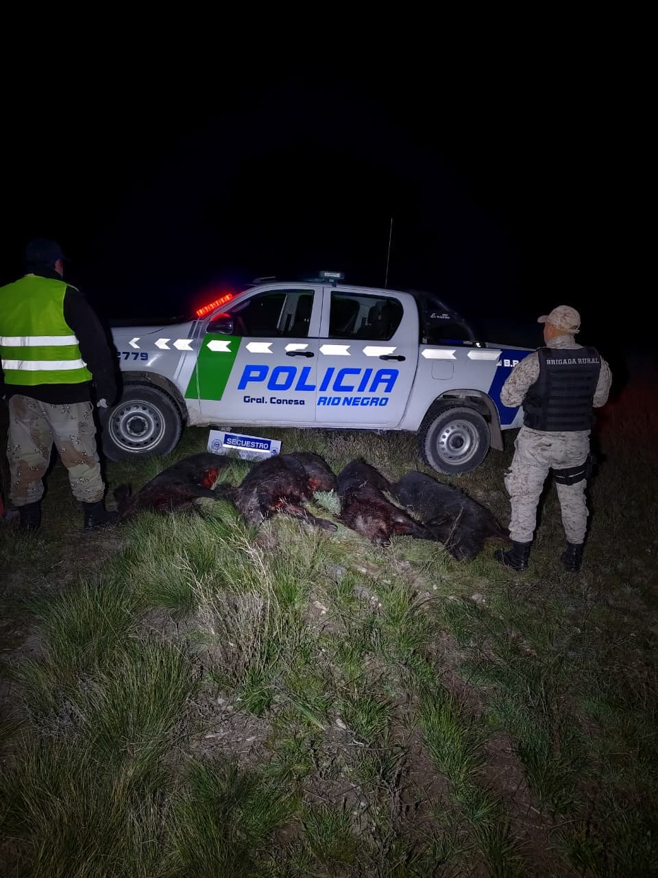 Decomisaron cuatro jabalíes durante un control policial de la Brigada Rural en Conesa