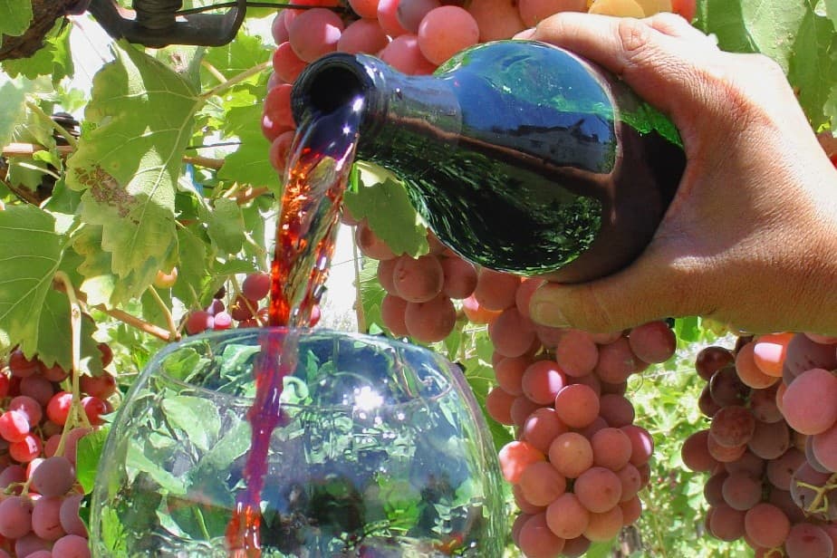 Las bodegas de Río Negro se preparan para la Expo Vinos de la Patagonia en Buenos Aires