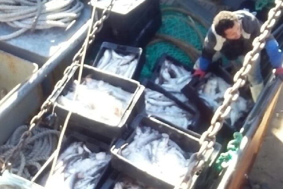 Con la llegada de un buque pesquero se reactiva el muelle de Punta Colorada