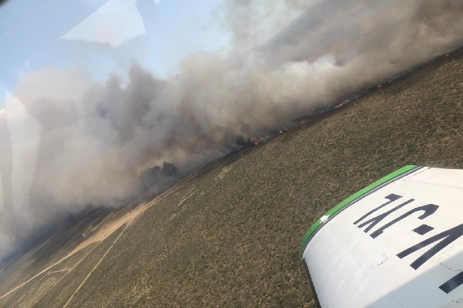 Preocupa a Protección Civil los posibles incendios de campos que se pueden generar por el calor con fuertes vientos