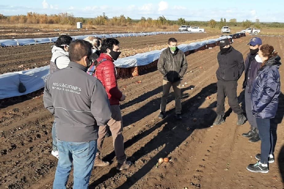 Operativos de fiscalización en la cosecha de la cebolla