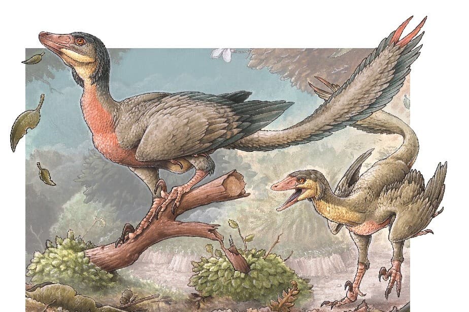 Un raptor de más de 90 millones de años de antigüedad descubierto en Río Negro