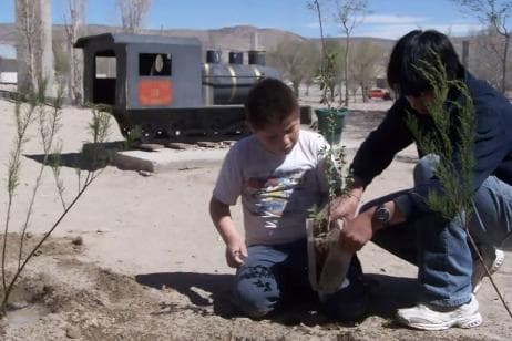 Campaña «Un Millón de Árboles» será lanzada en Río Negro