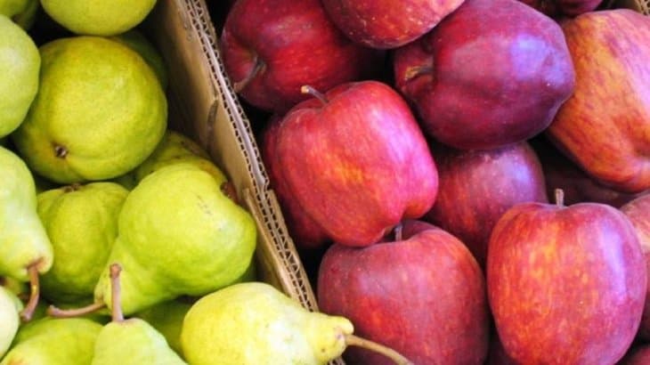 Será resarcido por el mal estado un productor que contrató frío para sus manzanas pero por desmanejo perdió su producción