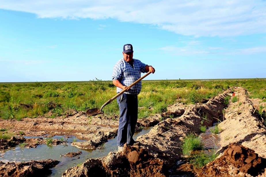 Con el reúso de los efluentes cloacales tratados, se planifica el riego de más de 300 hectáreas de forestación y cultivos para el 2020