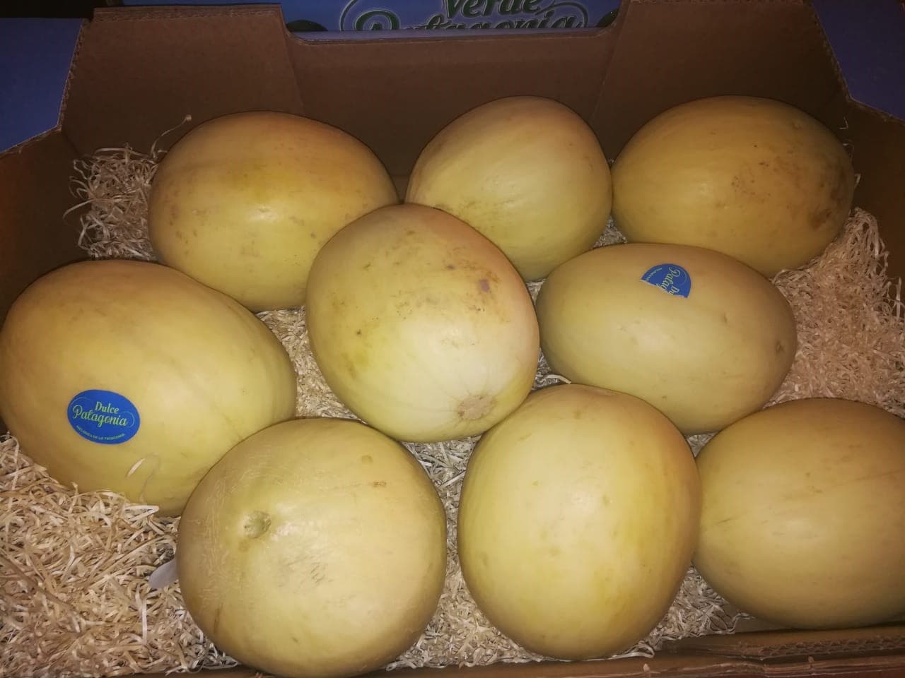 Los melones rionegrinos se convierten en los favoritos del Mercado Central