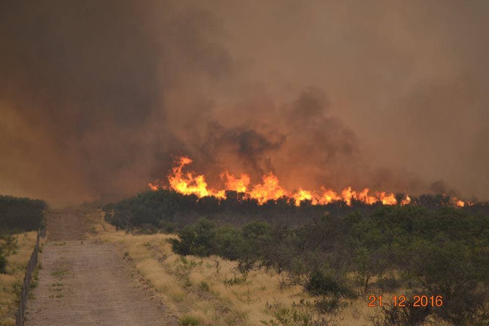 “Todavía no podemos hacer evaluaciones de los campos incendiados”, sostuvo Ángel Zingoni