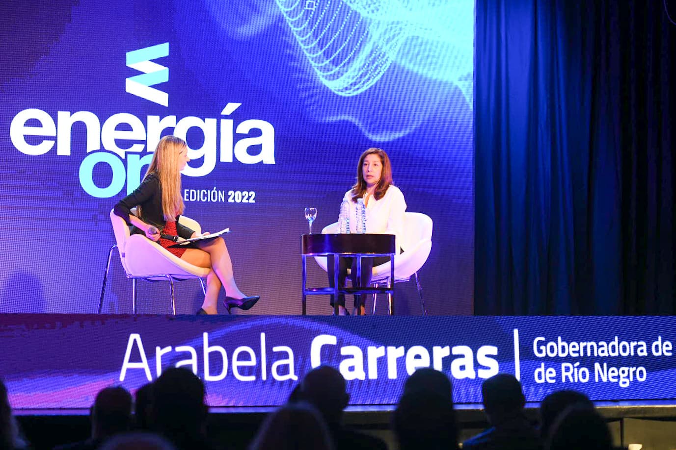 “Hay que liberar la posibilidad del uso de los dólares, que son fundamentales para cualquier megaproyecto de inversión»