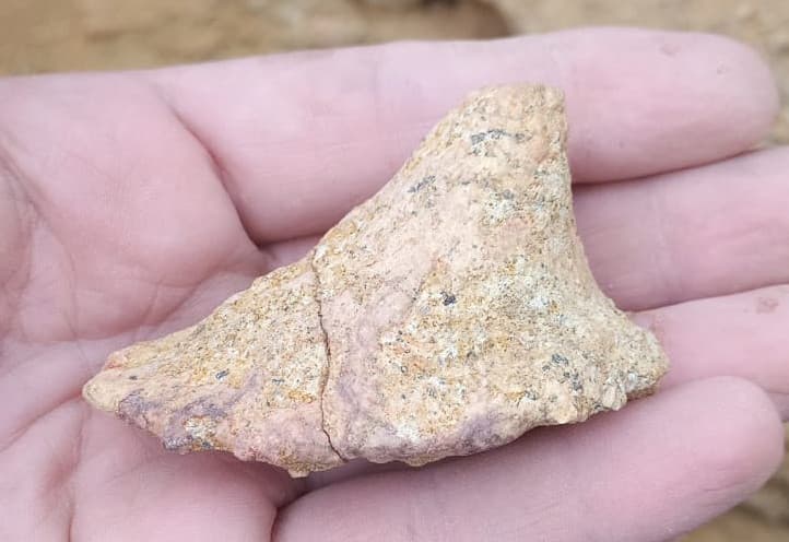 Restos fósiles de dinosaurios desconocidos fueron encontrados en General Roca