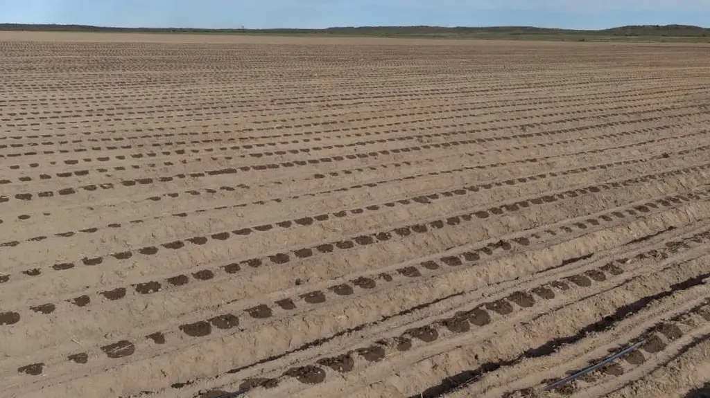 Para productores de IDEVI hay un aporte no reintegrable aporte para mejorar sus sistemas de riegos
