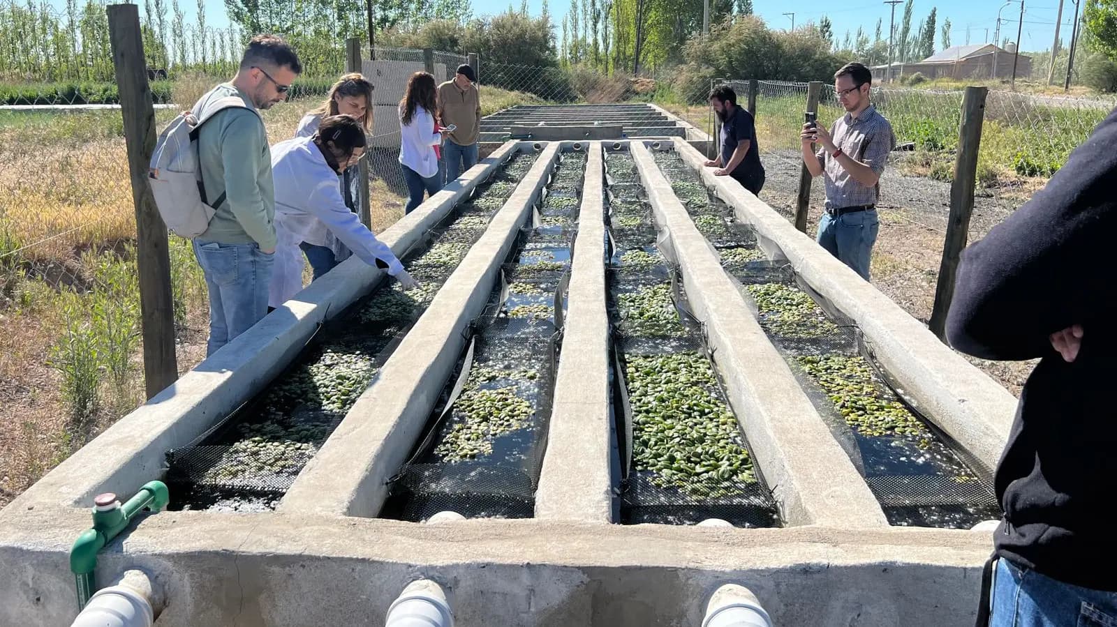 Financiamiento de $200.000.000 para realizar 10 proyectos tecnológicos en Rio Negro
