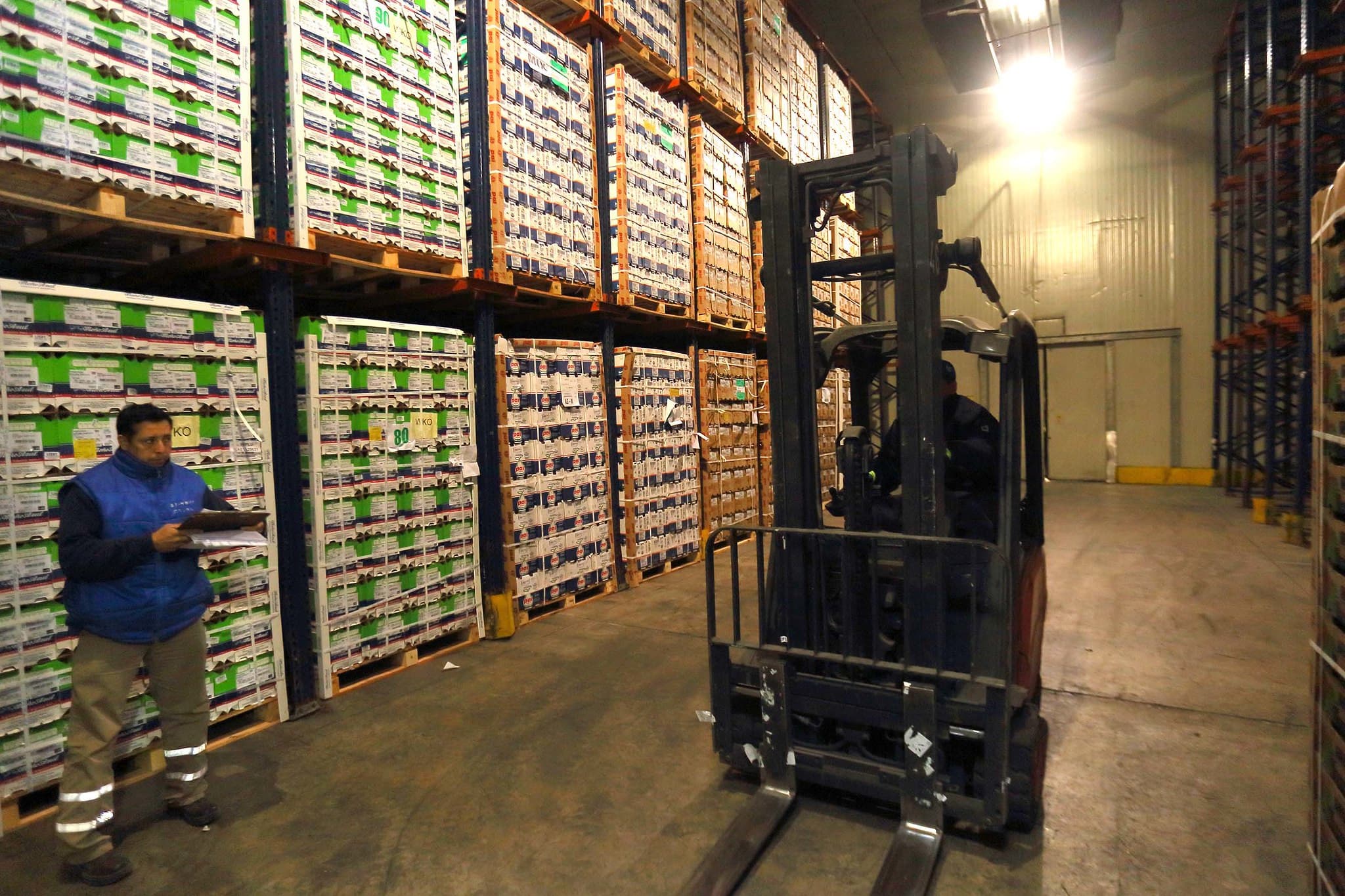 Comienza la exportación de más de 600 mil toneladas de frutas rionegrinas