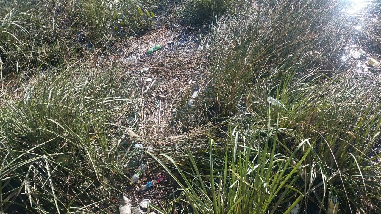 Presentaron más pruebas por la suciedad del río