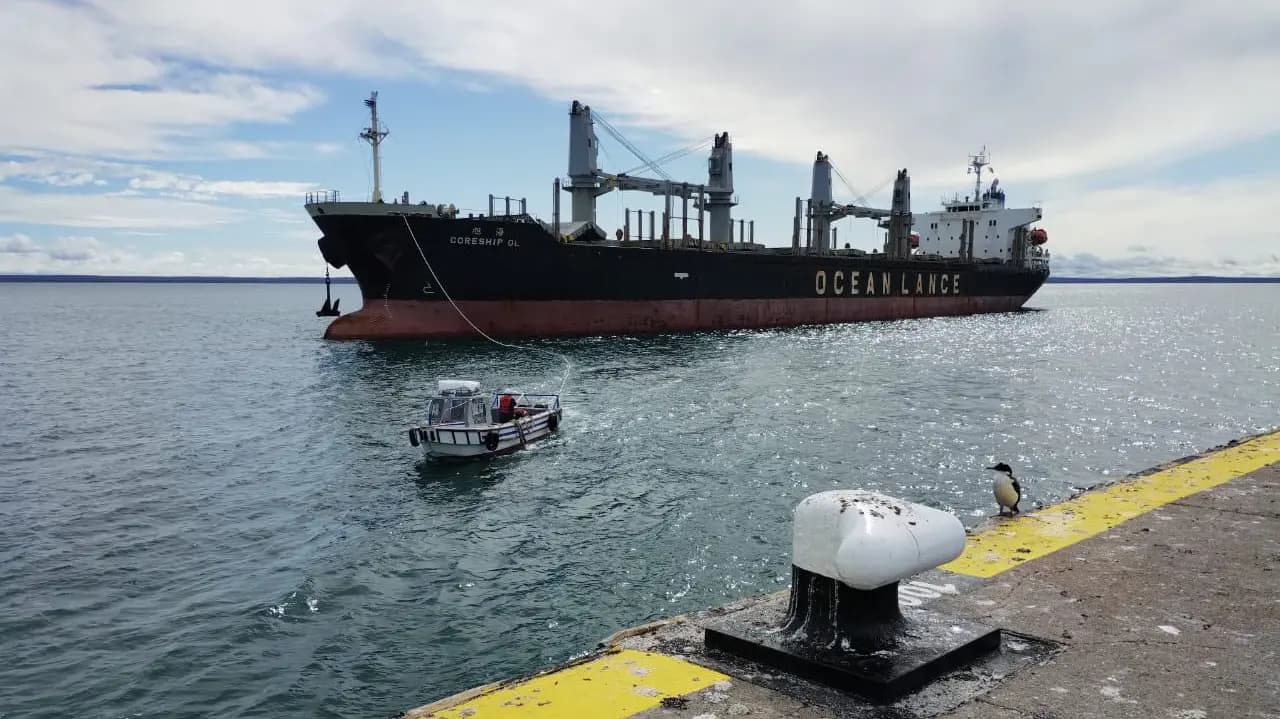 Unas 8 mil toneladas de acero llegaron al Puerto SAE para el oleoducto VMOS