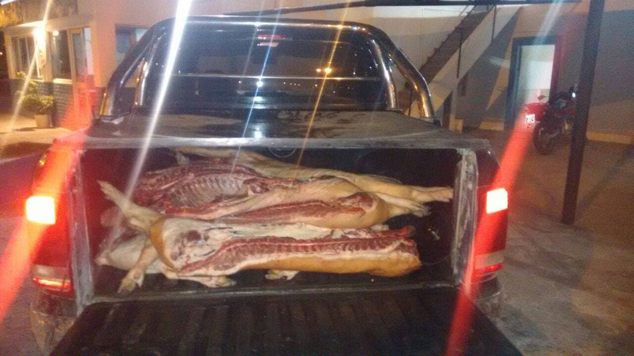 Secuestraron 10 lechones faenados en la ex ruta Nacional Nº3 en Viedma