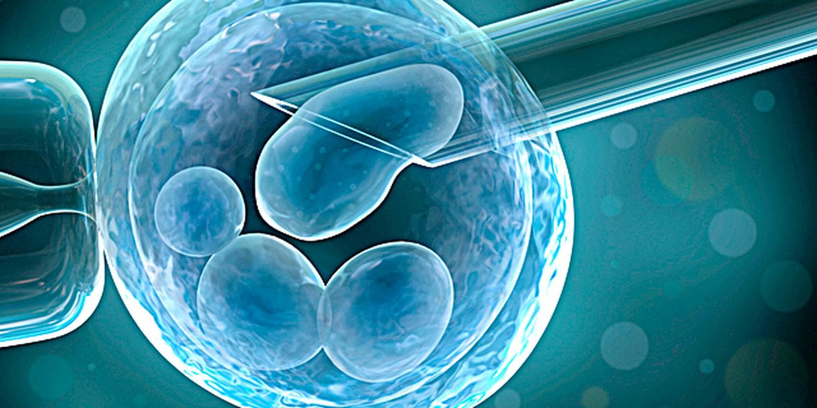 IPROSS deberá cubrir un tratamiento de fertilidad por un fallo judicial