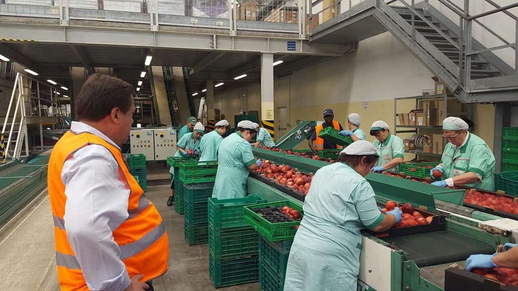 «Viendo cómo se trabaja en Italia podemos llegar a recuperar nuestra producción»