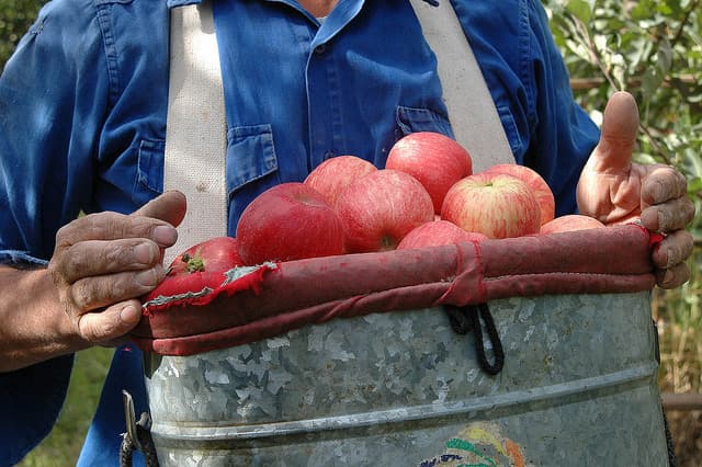 Los precios de los agroalimentos se multiplicaron por 3,8 veces en enero del campo a la góndola