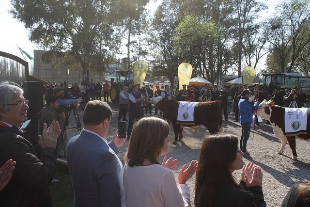 Se realizó exposición ganadera de Conesa