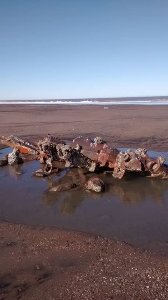 Se pueden ver los restos del Naufragio Ludovico nuevamente en bajamar y piden preservarlos