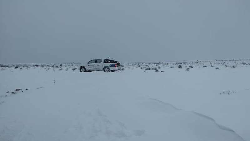 Con un helicóptero tratarán de llegar a los lugares complicados por la nieve para llevar alimento a los pobladores