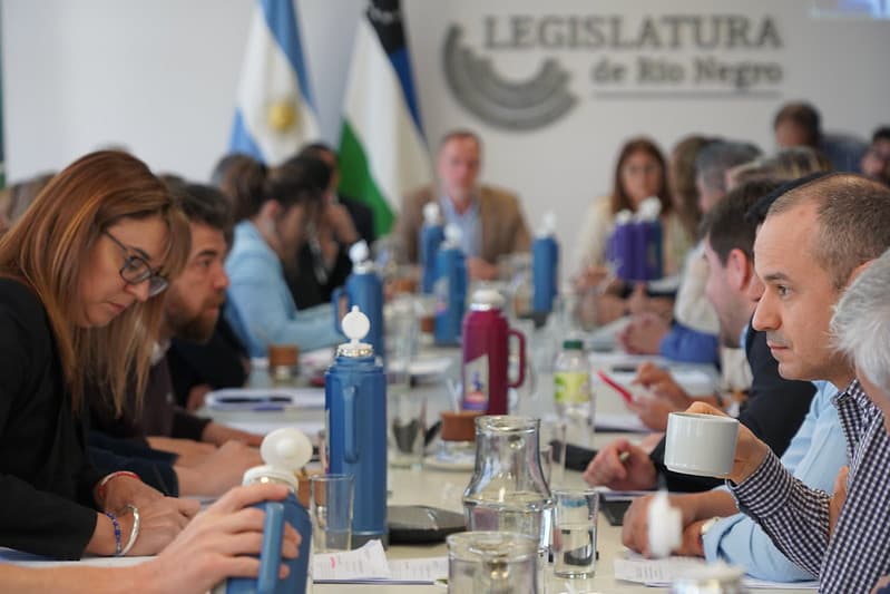 Las comisiones de la Legislatura de Río Negro se reúnen esta semana con vistas a la próxima sesión