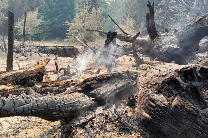 Weretilneck declaró la Emergencia y Desastre Agropecuario por incendios forestales