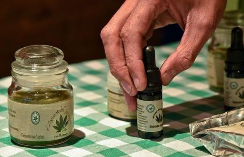 La Ley de cannabis medicinal fue aprobada en segunda vuelta para que el Ejecutivo la promulgue