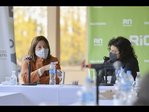 La Gobernadora con Vizzotti analizaron la situación epidemiológica de Río Negro
