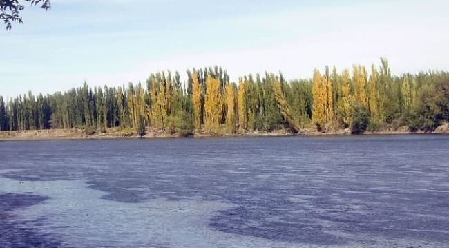 Acuerdan con empresas la utilización de efluentes cloacales para riego forestal