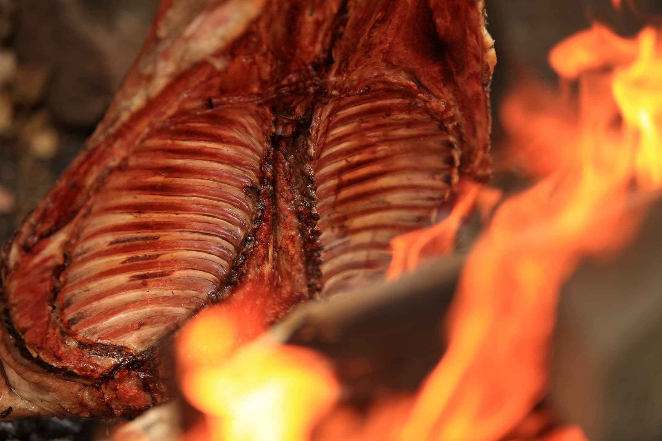 Encaran un plan para aumentar el consumo de carne de cordero