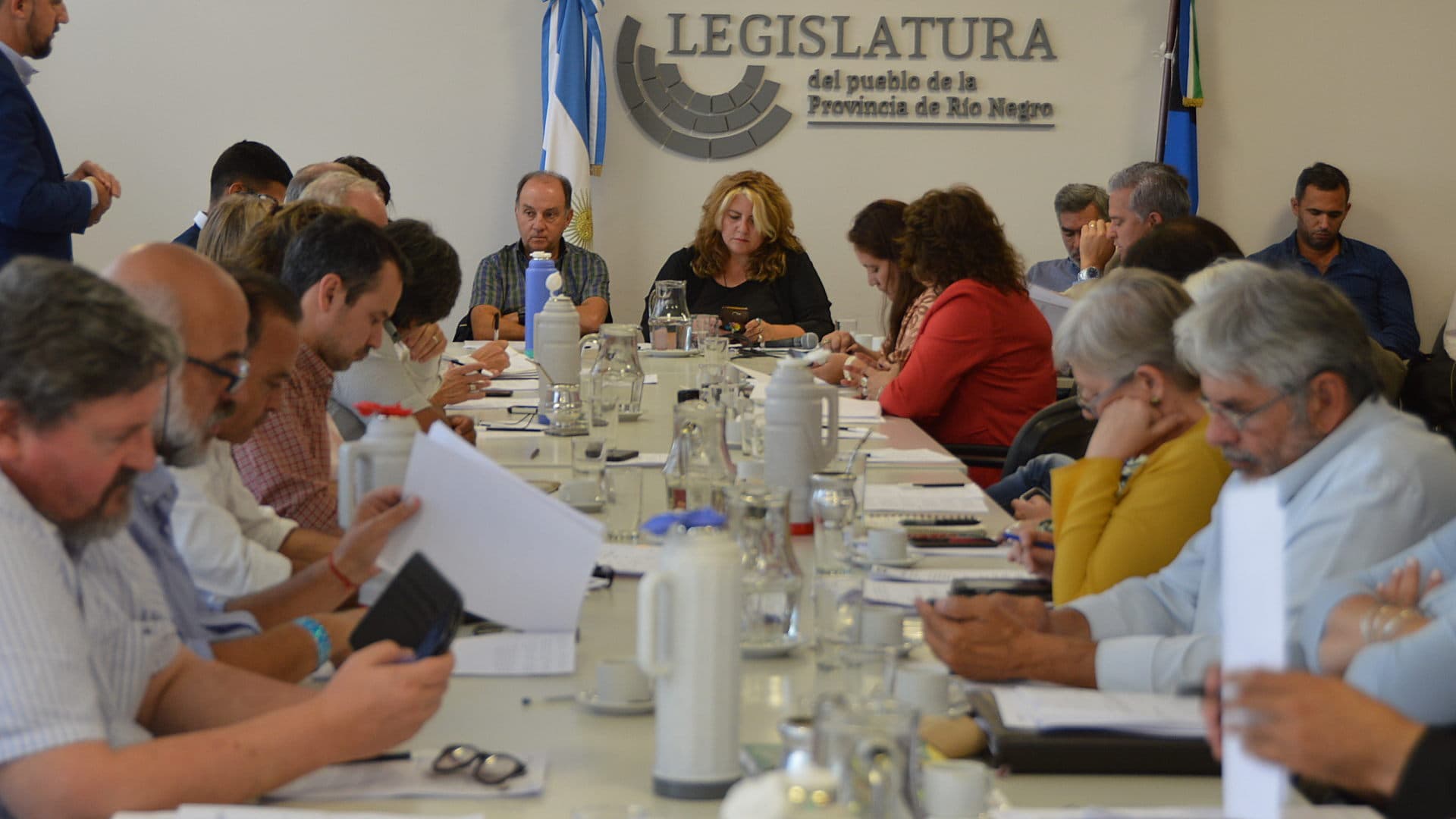 Sesiona la Legislatura y aprobará el Pase a Planta de más de unos 3.000 contratados