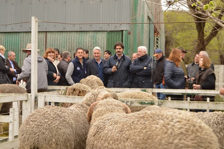 Comenzó la 5ta edición de la Exposición Nacional Patagónica de Hereford y Angus