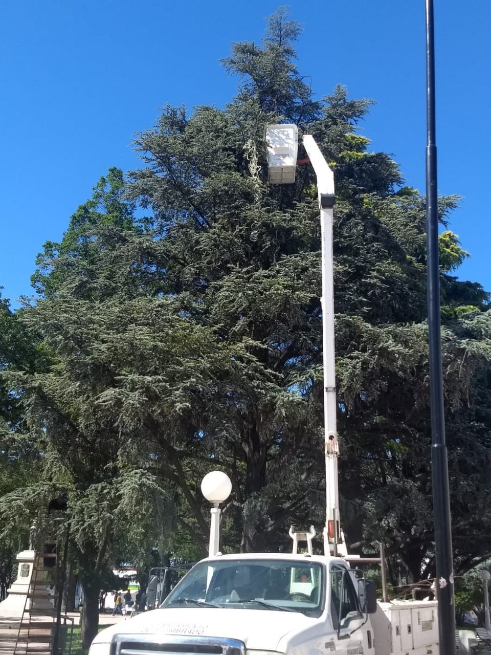 Patagones instaló decoración navideña por las festividades de fin de año