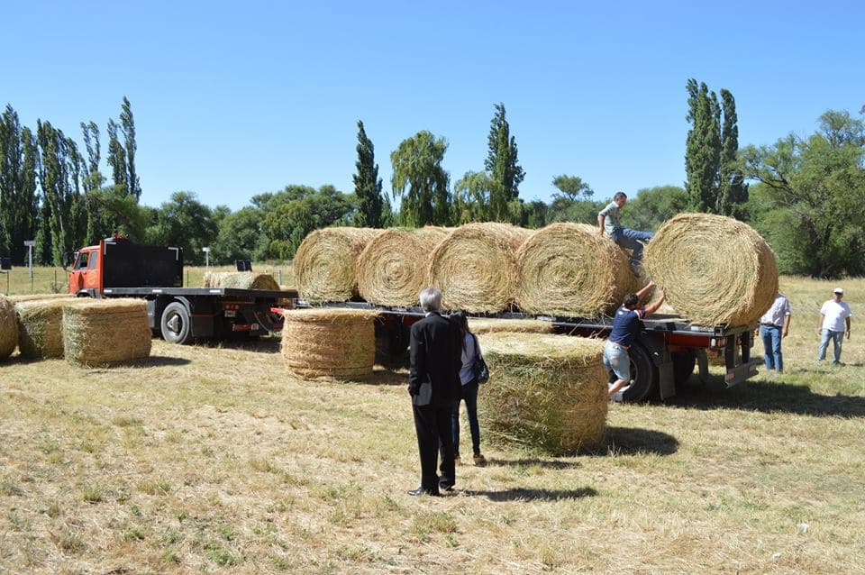 Patagones recibió asistencia para los productores afectados por los incendios