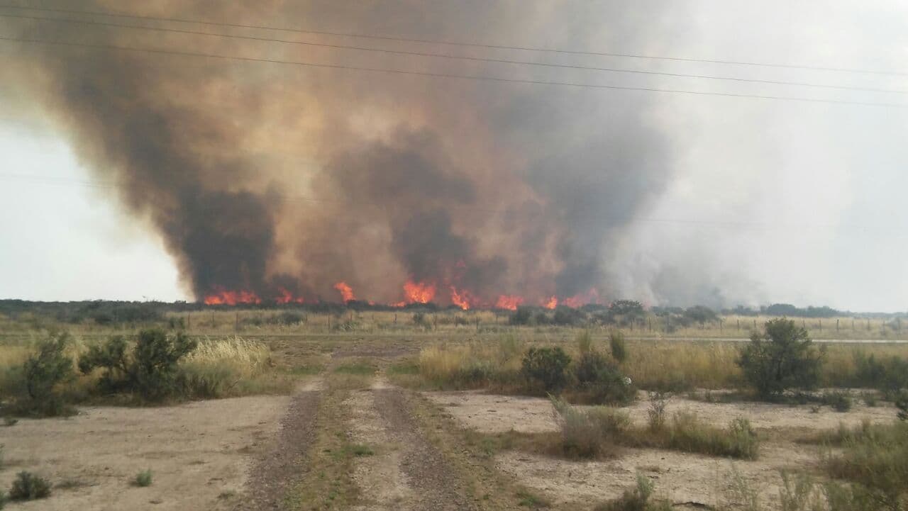 Con aviones hidrantes trabajan para extinguir el incendio en cercanías de Viedma