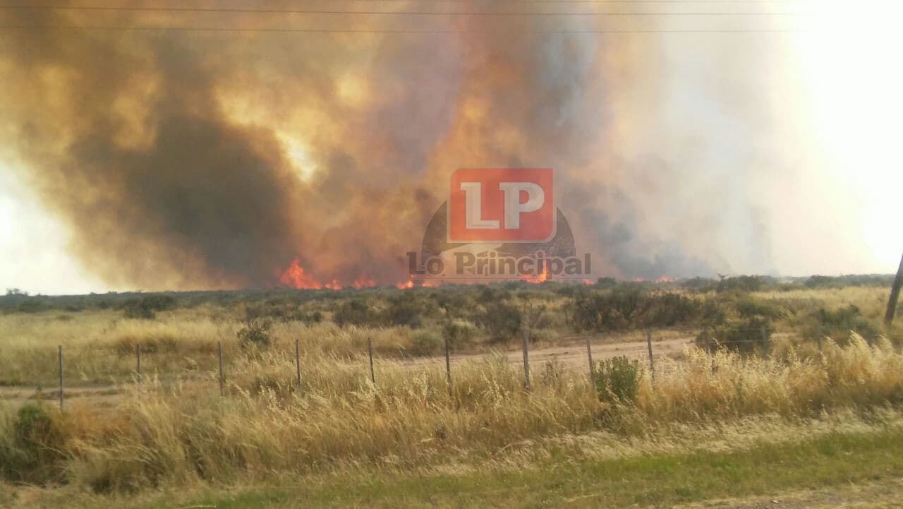La Provincia abrió un registro de campos disponibles para alojar hacienda de productores afectados por incendios