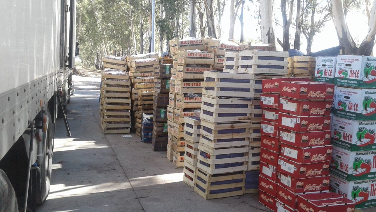 El Senasa donó casi 9 toneladas de frutas y hortalizas a entidades de bien público