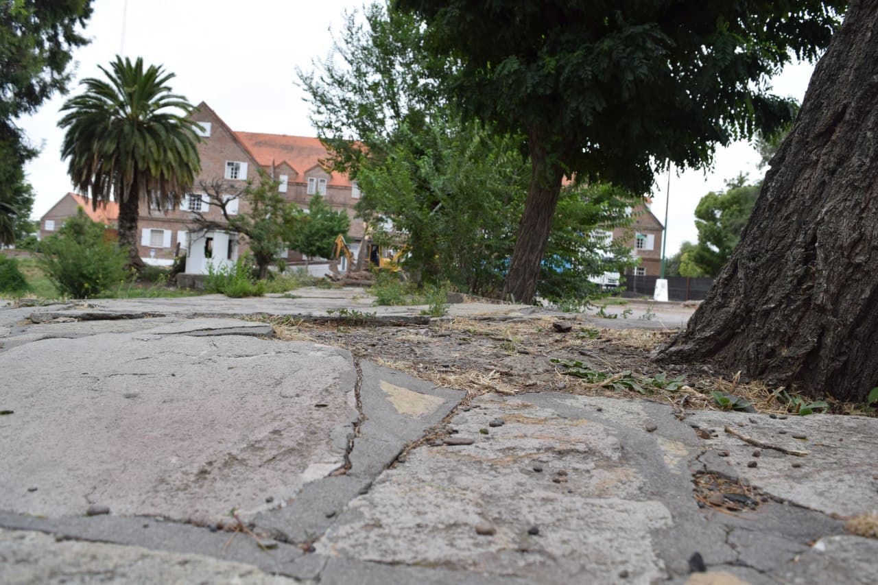 Habrá adecuaciones ambientales en la obra del «Paseo del Bicentenario»