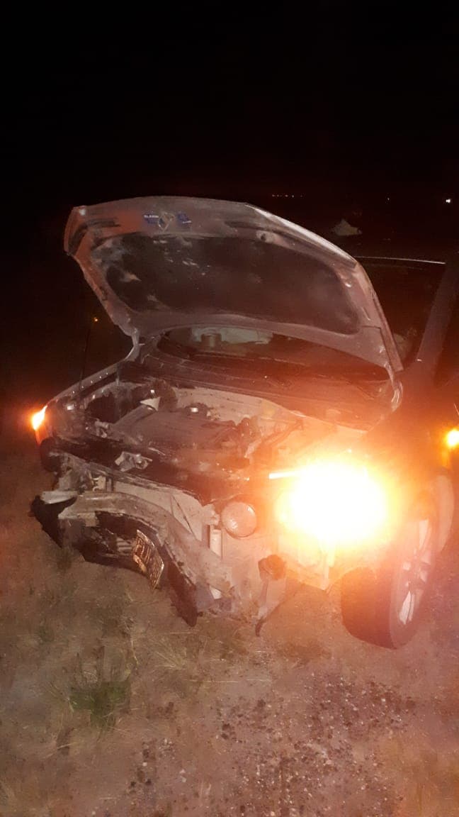 Destrozó el frente del auto con un chancho jabalí camino a la Boca