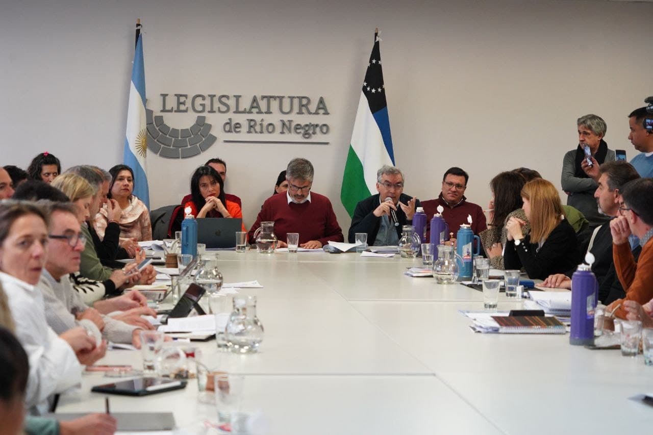RIGI, contratos Hidrocarburiferos los temas tratados en las comisiones legislativas, previamente a la sesión de este viernes