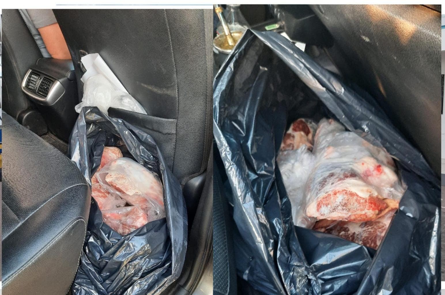 La policía de Patagones decomisó carne de jabalí y realizó varias infracciones