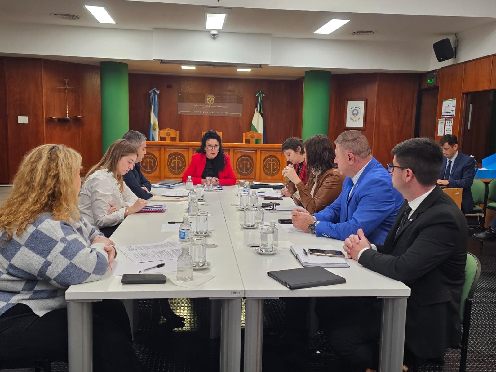 Decidieron la integración del Consejo para designar a los que jugarán al juez Guerra Lavayen