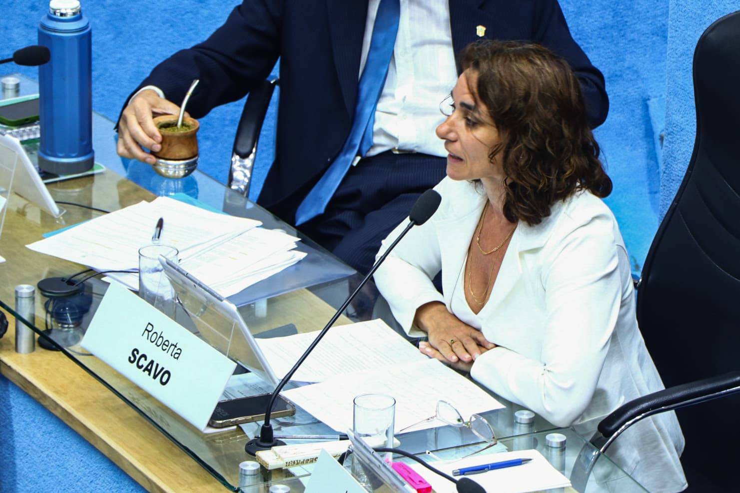 Fue aprobado por unanimidad el proyecto de Ley que prohíbe el uso de plásticos de un solo uso en el ámbito Legislativo