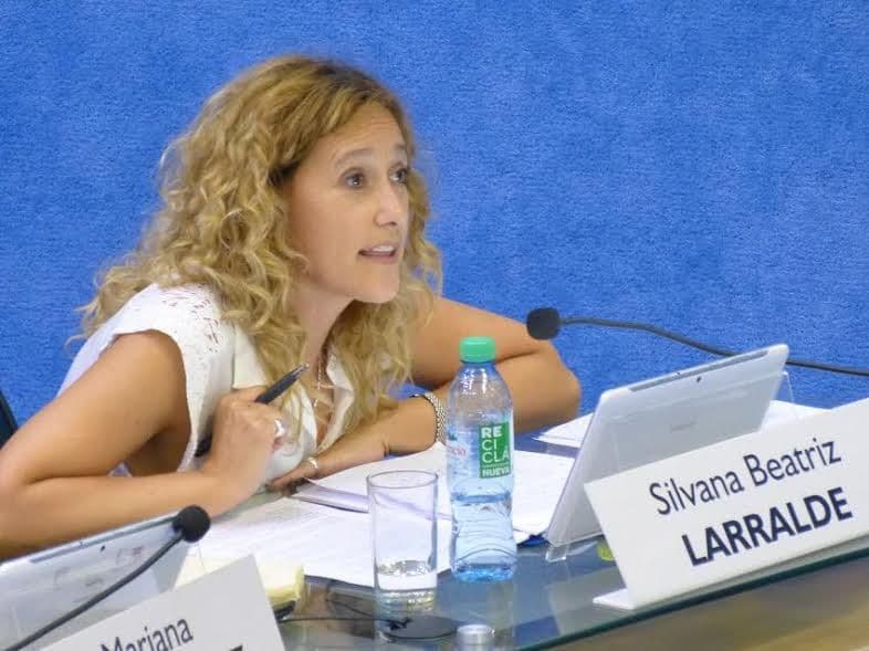 “Se pretendió sacar a los empujones una ley que aborda temas complejos, que ameritan mayor seriedad en el abordaje”