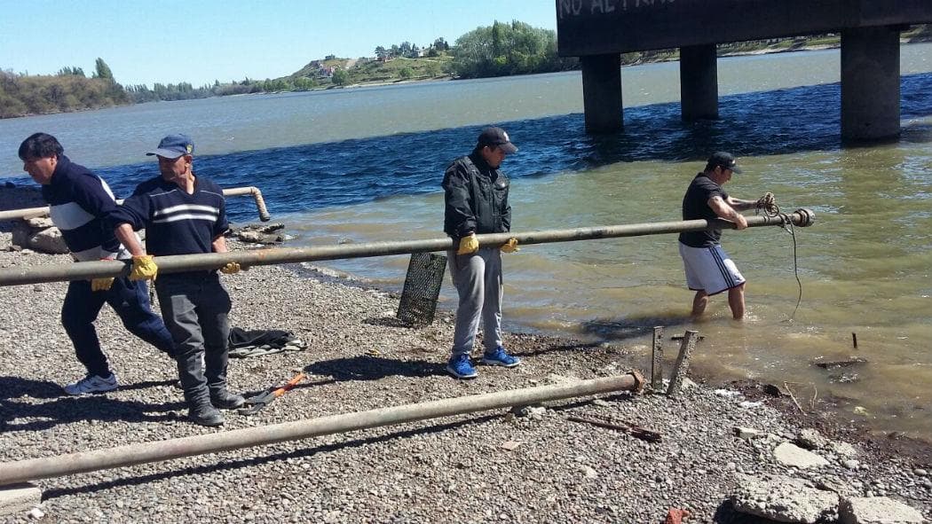 Las algas en el río impiden el funcionamiento de las bombas de agua que se utilizan para regar los espacios verdes en Viedma